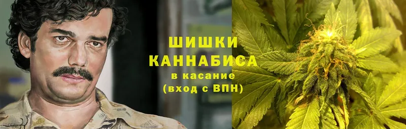 сколько стоит  Баймак  Бошки Шишки Ganja 